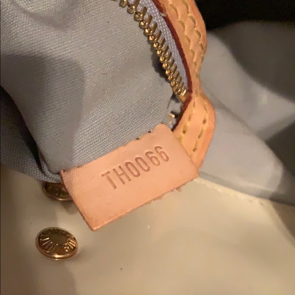Louis Vuitton purse (other pics)